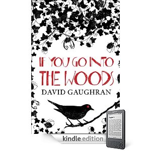 David Gaughran book