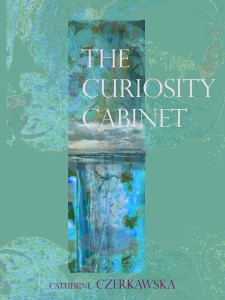 The Curiosity Cabinet