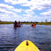 Paddling on Tomah stream