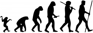 2000px-Human_evolution_scheme.svg